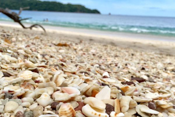 Shell sand at Playa Conchal