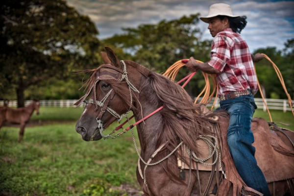 Sabanero cowboy culture