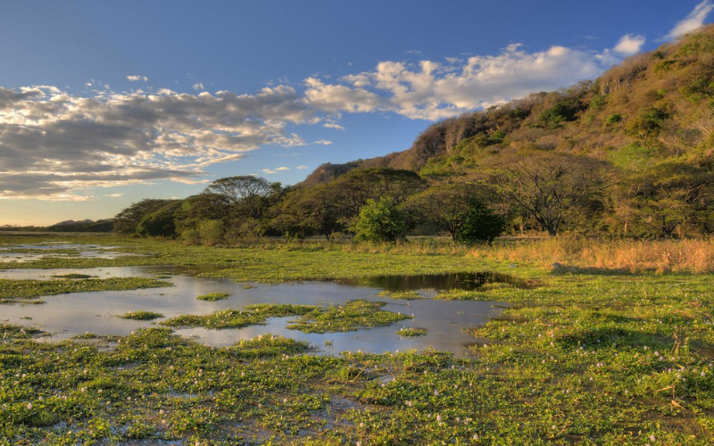 Santa Rosa savannas and coastal forests