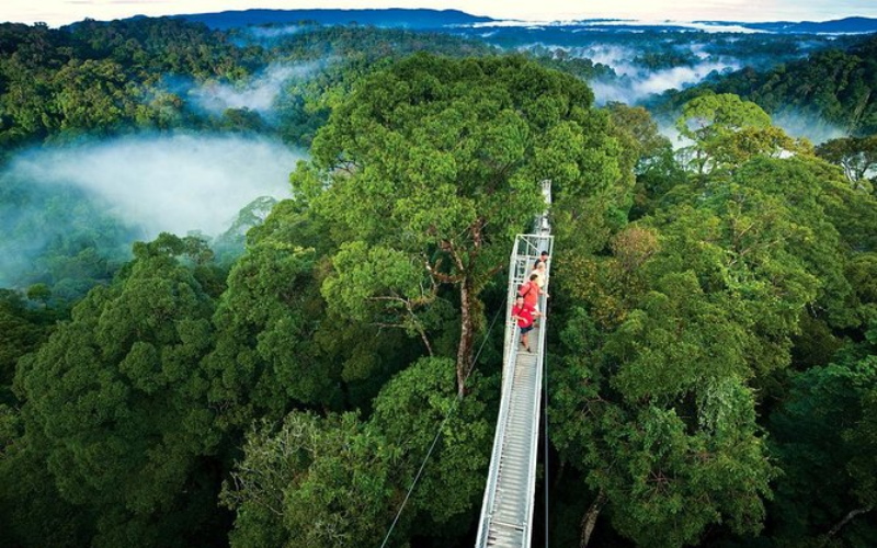 Santa Elena Cloud Forest Reserve