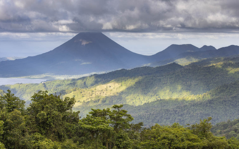 Hummingbird at feeder