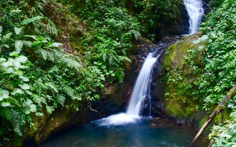 Natural history museum in Monteverde