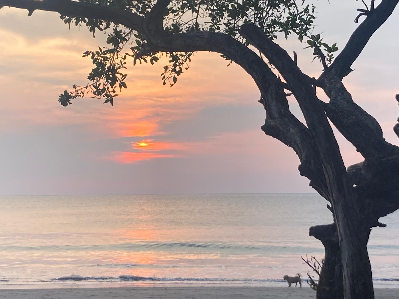 Costa Rica Vacation 5